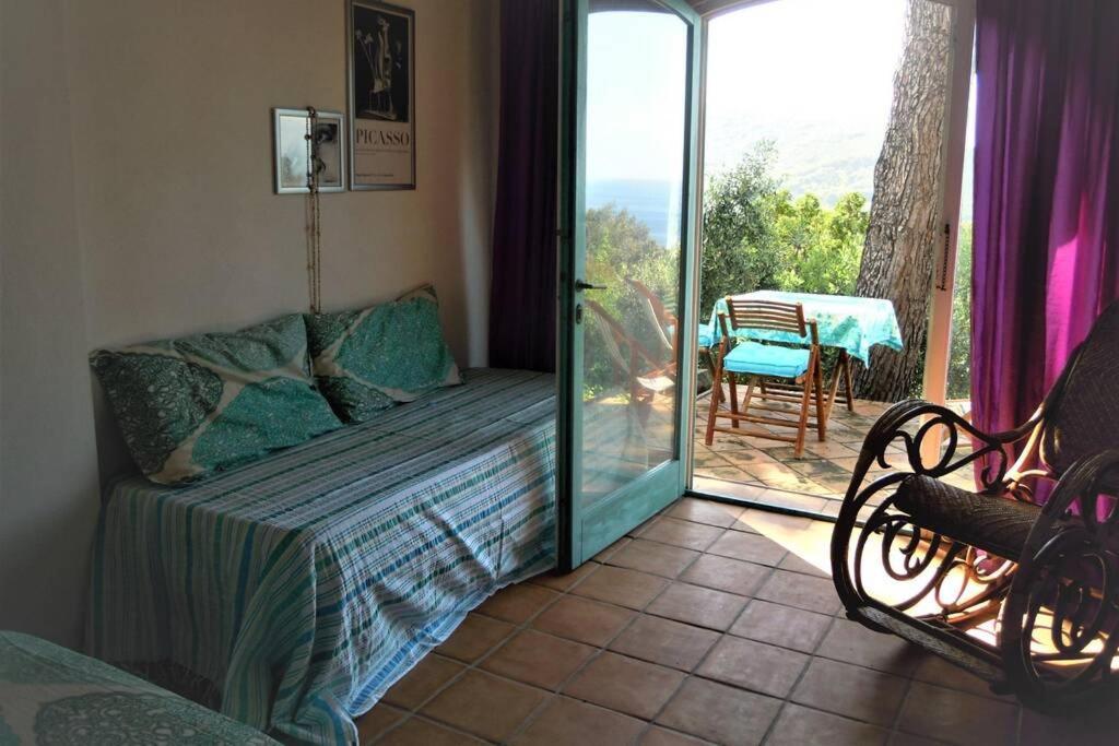 Mini Suite Ulivo Marciana Marina  Luaran gambar
