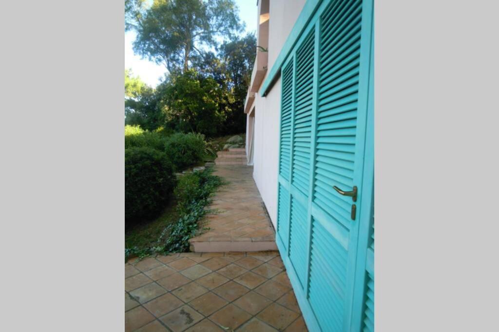 Mini Suite Ulivo Marciana Marina  Luaran gambar